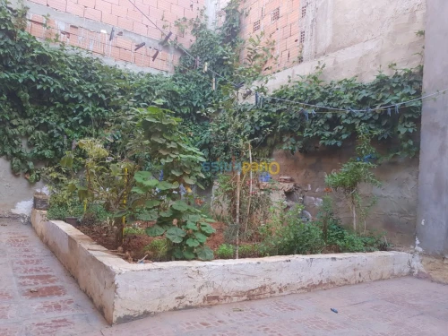 Vente Villa Mostaganem Hassi maameche