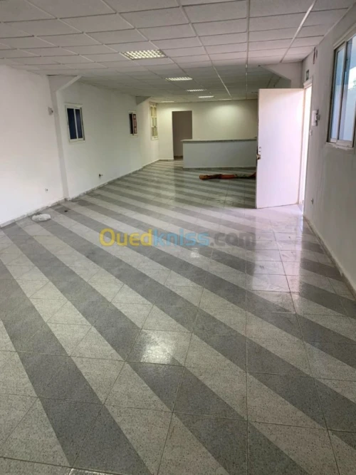 Location Hangar Alger Oued smar