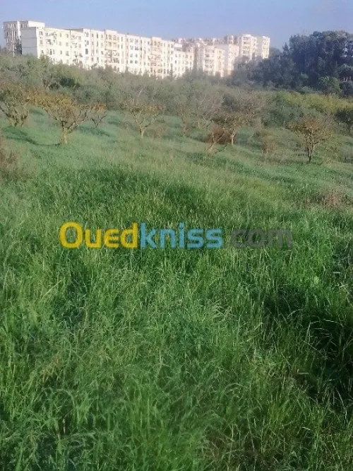 Vente Appartement F2 Alger Draria