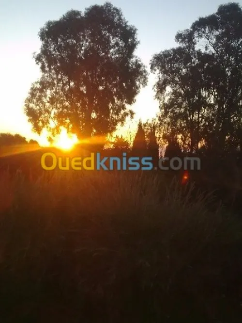 Vente Appartement F2 Alger Draria