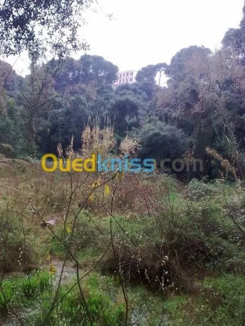 Vente Appartement F2 Alger Draria