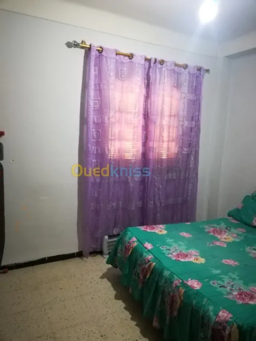 Vente Immeuble Chlef Chlef