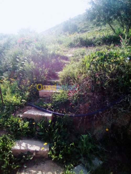 Vente Appartement F3 Constantine Messaoud Boudjeriou