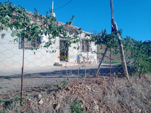 Vente Appartement F3 Constantine Messaoud Boudjeriou