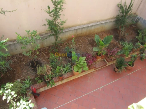 Location vacances Niveau De Villa F3 Alger Dely brahim