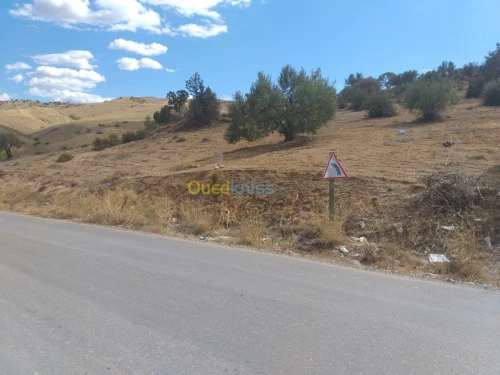 Vente Terrain Bejaia Boudjellil