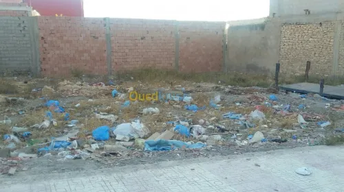 Vente Terrain Sidi bel abbes Sidi ali boussidi