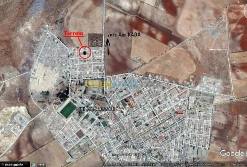 Vente Terrain Sidi bel abbes Sidi ali boussidi