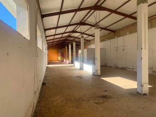 Location Hangar Ain defla Ain soltane