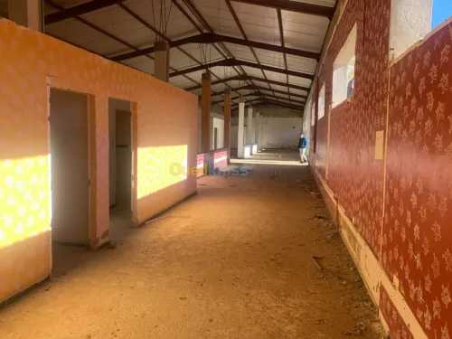 Location Hangar Ain defla Ain soltane