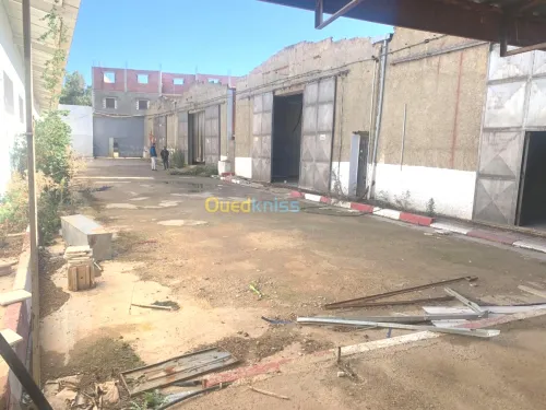 Location Hangar Ain defla Ain soltane