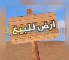 Vente Terrain Chlef Sobha