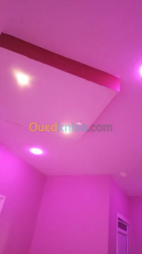 Placoplatre decoration pinter