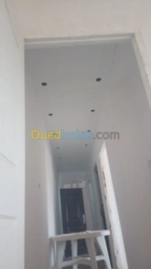 Placoplatre decoration pinter