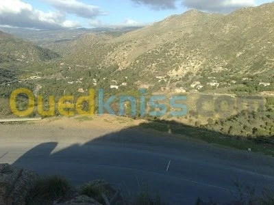 Vente Terrain Mila Minar zarza
