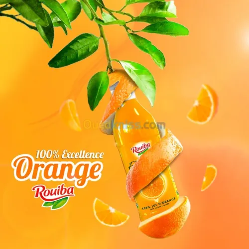 Graphique designer freelance 