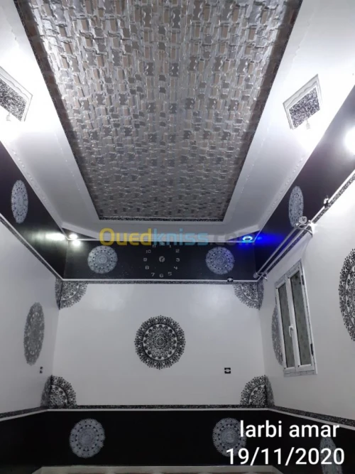 Placo plater  peinter 