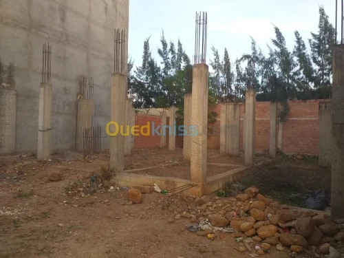 Vente Carcasse Blida Chiffa