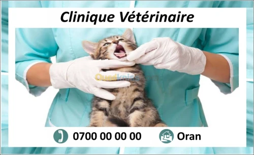 Cartes de visite 
