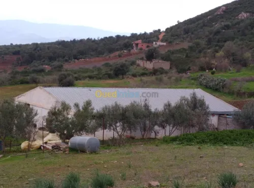 Location Hangar Béjaïa Oued ghir
