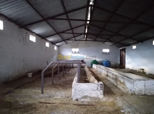 Location Hangar Béjaïa Oued ghir