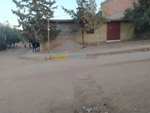 Vente Local Ain defla Zeddine