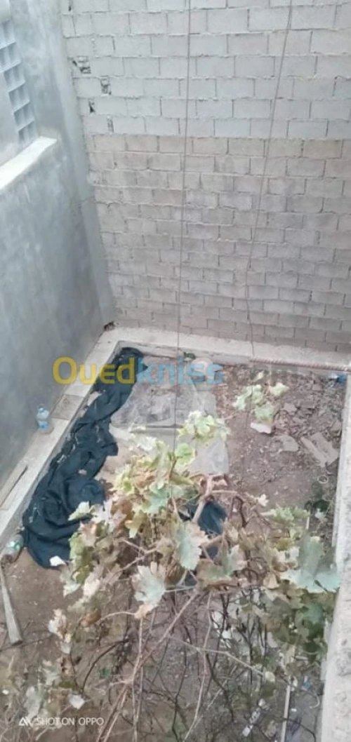 Vente Villa Tlemcen Mansourah