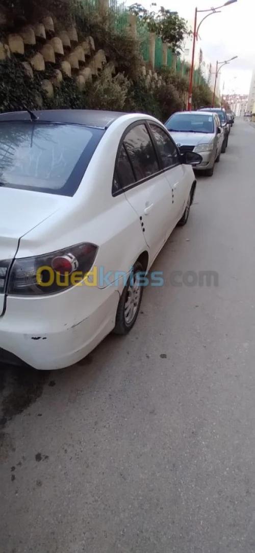 Chana Chana alsvin 2011 