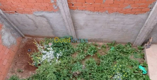 Vente Carcasse Oran Oued tlelat