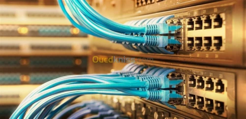 Cable Réseau Ethernet RJ45 Cat.6