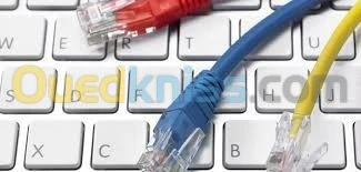 Cable Réseau Ethernet RJ45 Cat.6