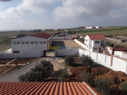 Location Hangar Bordj bou arreridj Khelil