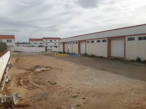 Location Hangar Bordj bou arreridj Khelil