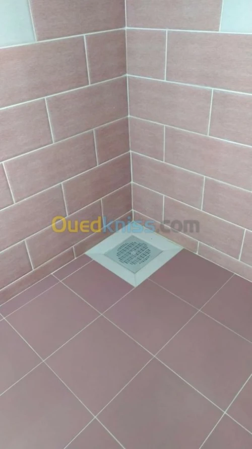 جميع الإختصاصات 