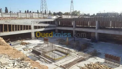 جميع الإختصاصات 