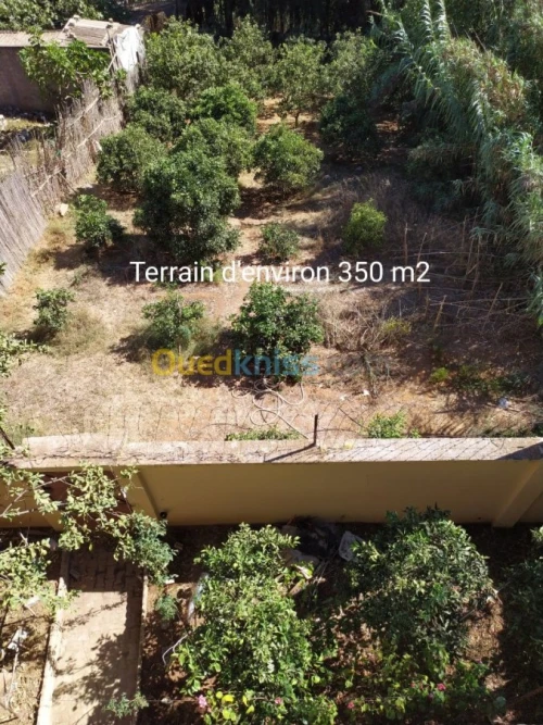 Vente Villa Tipaza Chaiba
