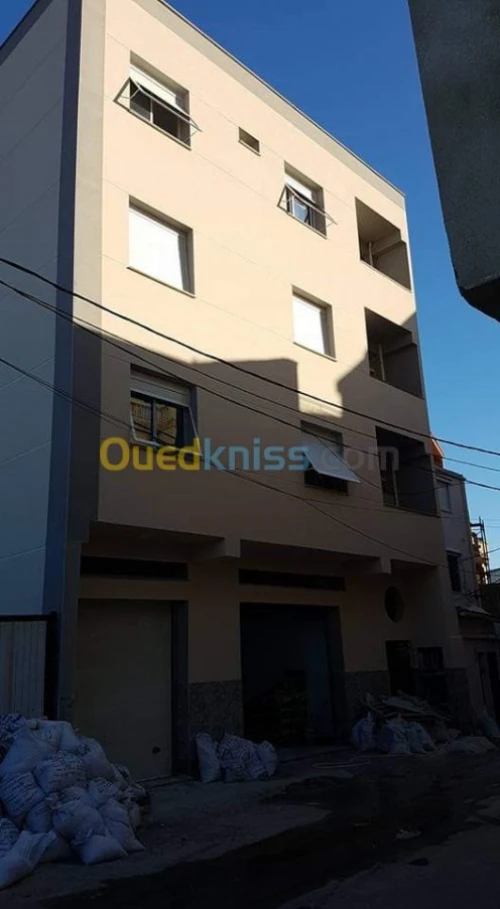 Revêtement de façade en monocouche 