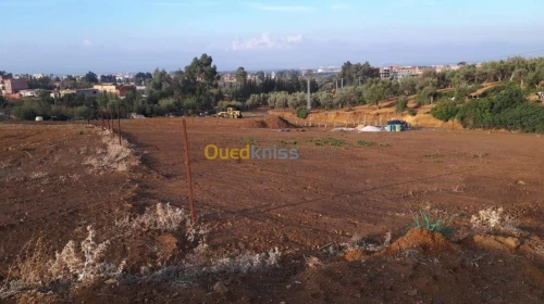 Vente Terrain Blida Soumaa