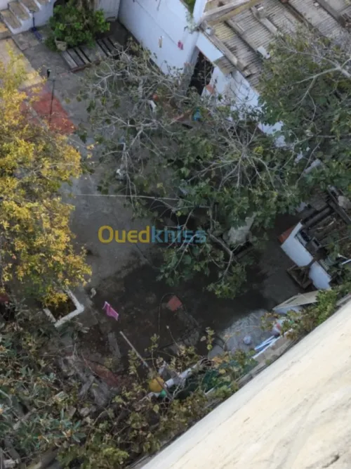 Vente bien immobilier Oran Oran