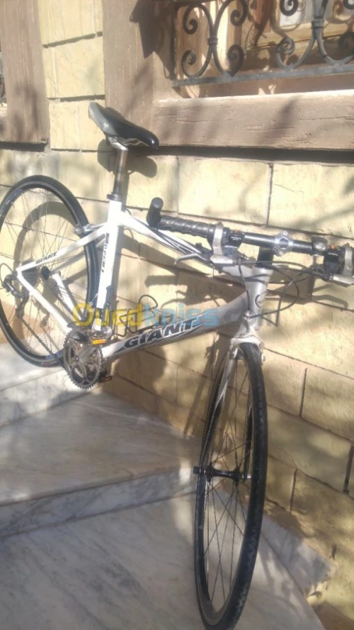 Velo giant 
