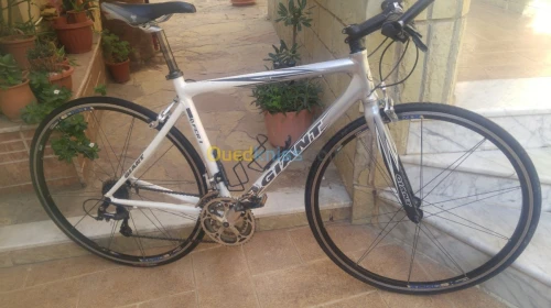 Velo giant 