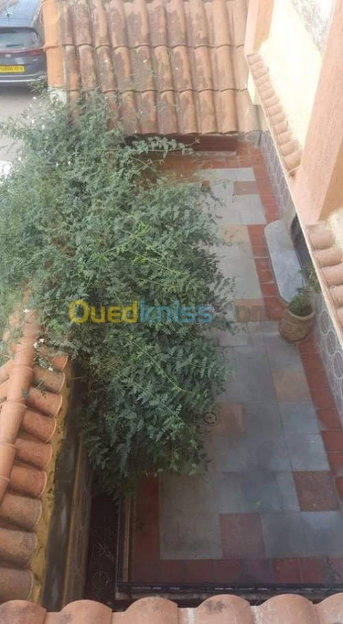 Vente Villa Blida Boufarik