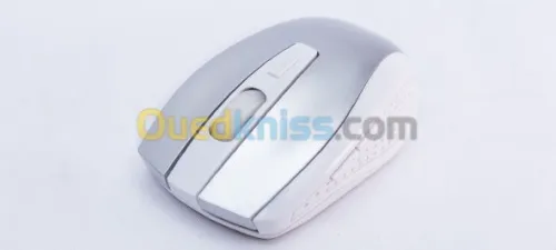 Souris sans fil