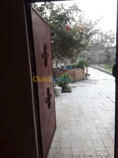 Vente Villa Blida Meftah