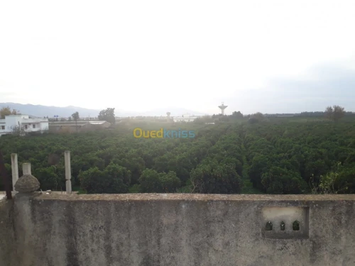 Vente Villa Blida Meftah