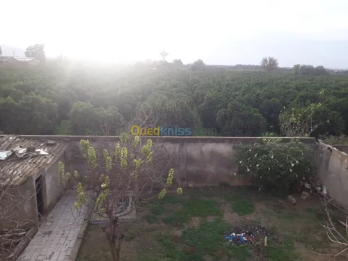 Vente Villa Blida Meftah