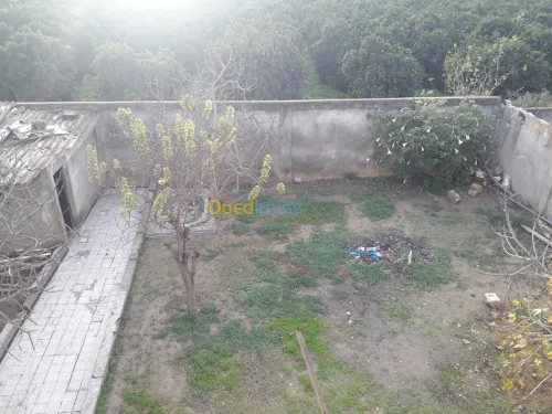 Vente Villa Blida Meftah