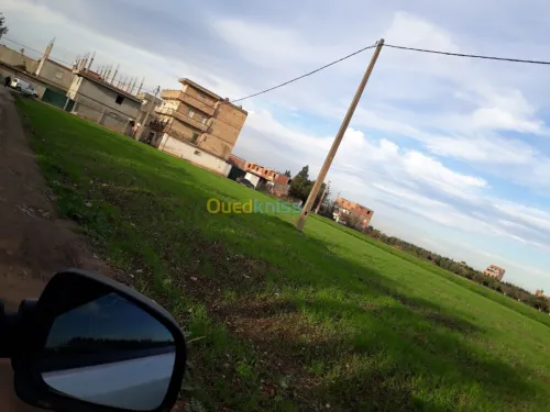 Vente Villa Blida Meftah