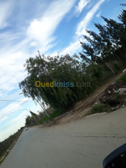 Vente Villa Blida Meftah