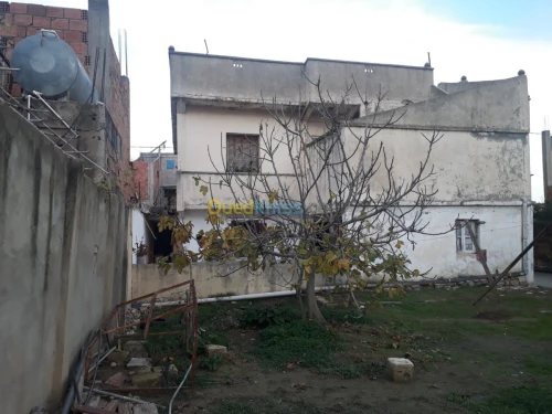 Vente Villa Blida Meftah
